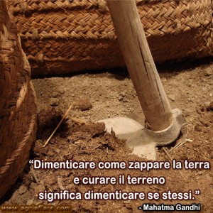 Lavoro nei campi: dalla semina al raccolto