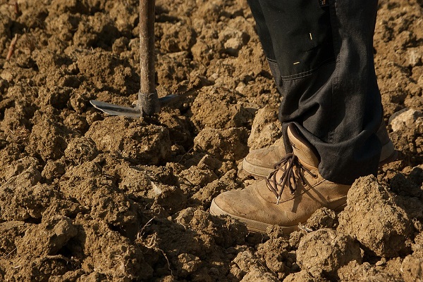 Come aprire un\'azienda agricola biologica