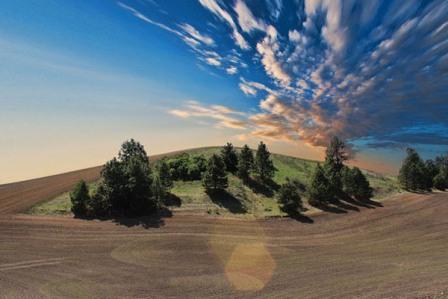 TERRENI AGRICOLI: COME E PERCHE\' ACQUISTARLI
