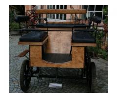 Carrozza Wagonette 6 posti