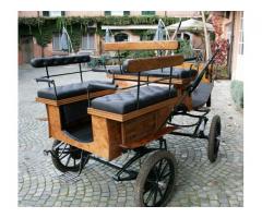 Carrozza Wagonette 6 posti