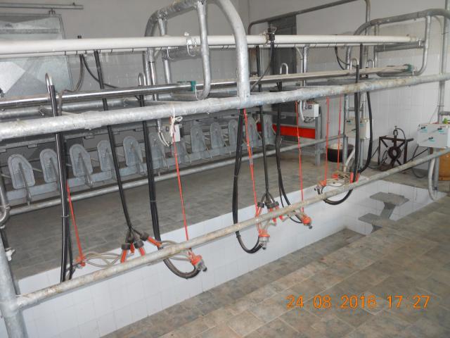 Mungitrice bilaterale 24 posizioni