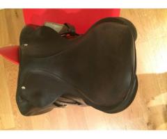 Sella Equipe Sinergy