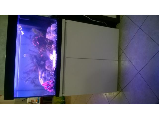 Acquario 145 litri