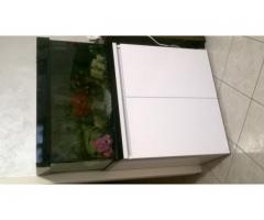 Acquario 145 litri
