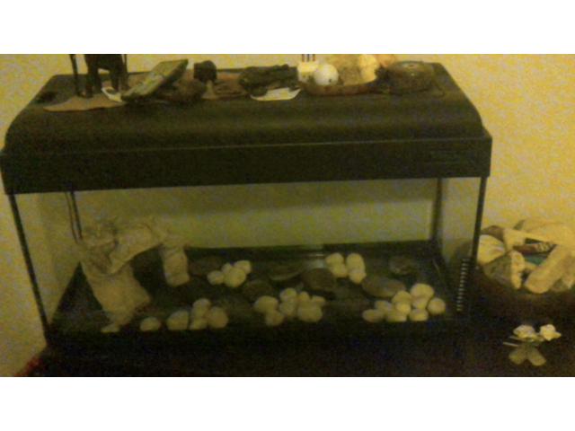 Acquario