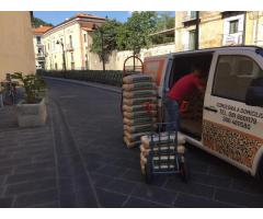 pellet austriaco drauholz abete aversa