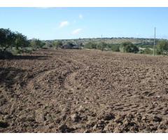 Sicilia: a 1 km . dalla città di Scicli (Ragusa) vendo proprietà di circa 4 ettari