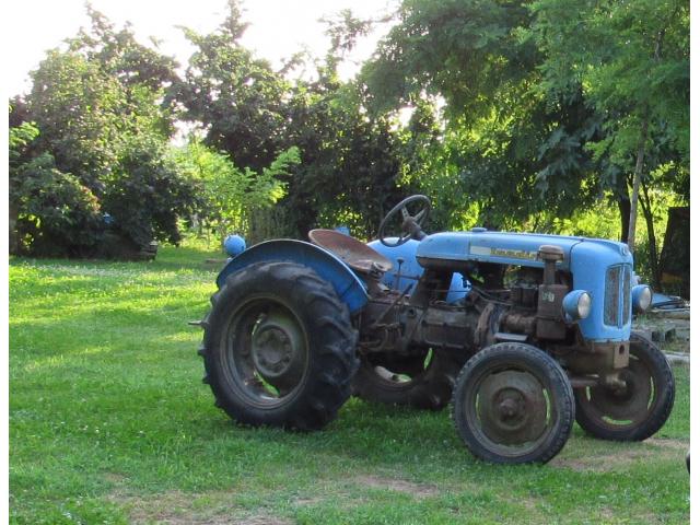 trattore Landini R25 Landinetta