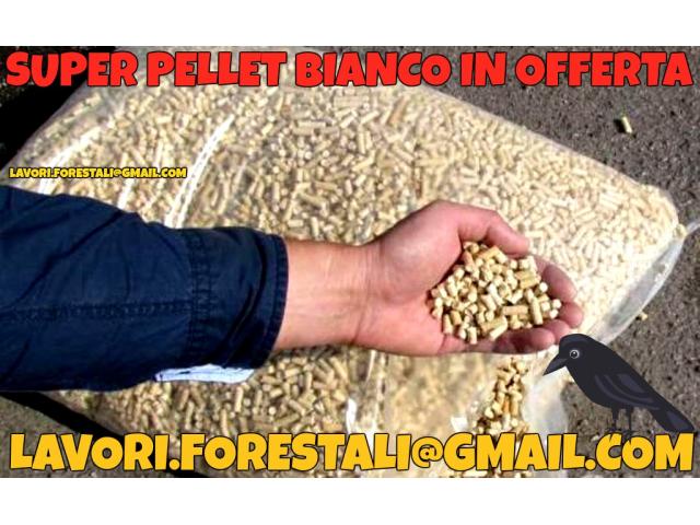 PELLET BIANCO POCHE CENERI DI ABETE VENDITA LEGNA DA ARDERE